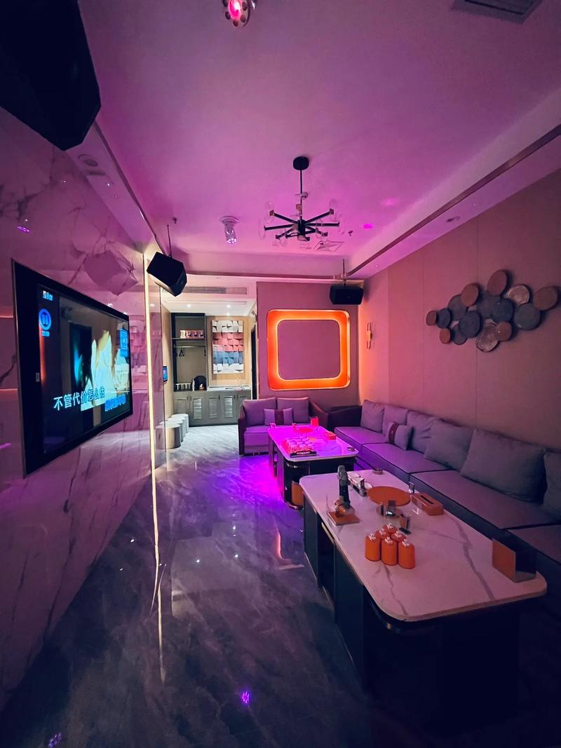 商务ktv新玩法分享-普定县ktv预订